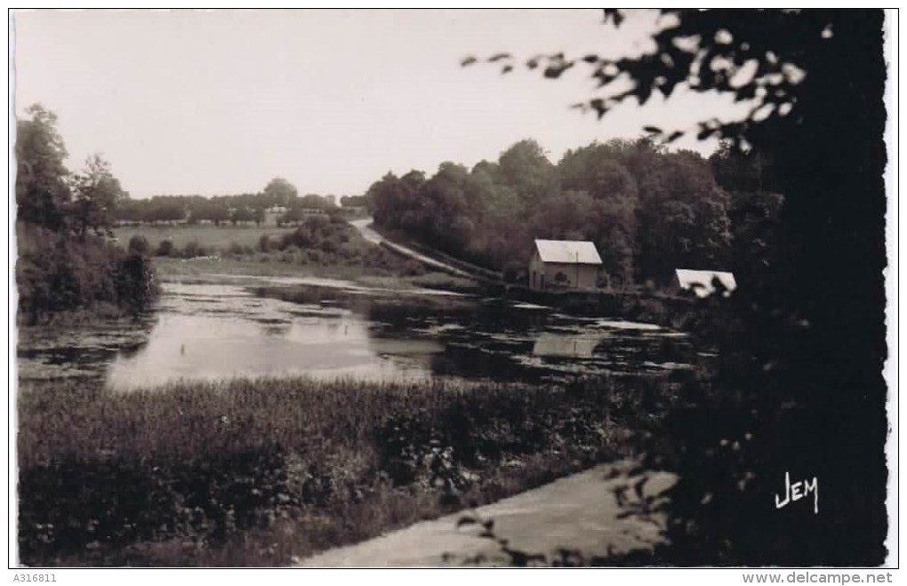 CPSM Solre Le Chateau L ETANG DES BORZIES - Solre Le Chateau