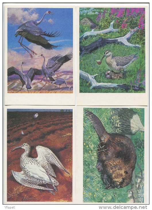 The Red Book 1 (Protected Species In The USSR) - Complete Set Of 16 - Other & Unclassified