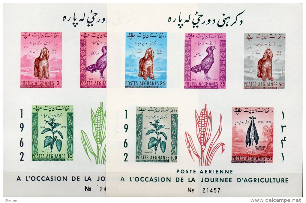 Imperf.Landwirtschaft 1962 Afghanistan Block 22+23 B ** 8&euro; Hund Hahn Jute Schaf Hoja Fauna Blocs Sheets Bf Afghanes - Afghanistan