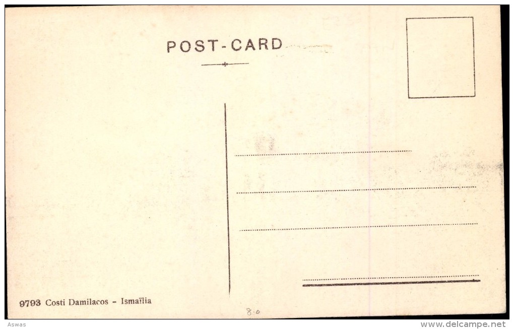 RUE NEGRELLI (DIFFERENT VIEW), ISMAILIA, EGYPT  ~ Local Publisher ~ ANIMATED - Ismaïlia