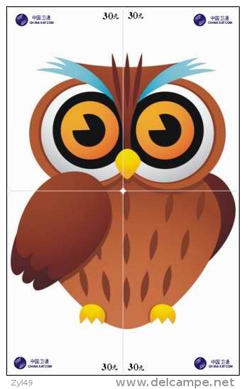 O03217 China Phone Cards Owl Puzzle 48pcs - Búhos, Lechuza