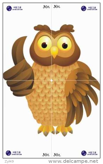 O03217 China Phone Cards Owl Puzzle 48pcs - Gufi E Civette