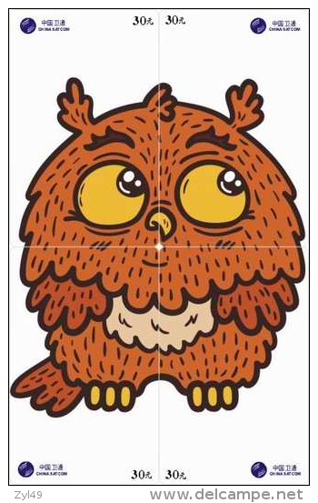 O03217 China Phone Cards Owl Puzzle 48pcs - Owls