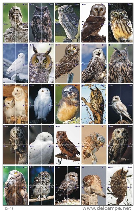 O03218 China Phone Cards Owl Puzzle 100pcs - Eulenvögel