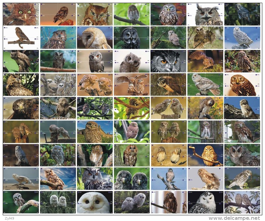 O03219 China Phone Cards Owl Puzzle 252pcs - Owls