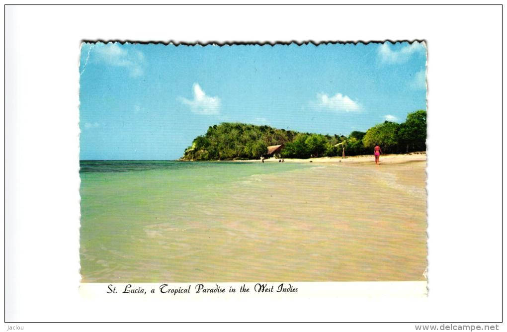 ST LUCIA A TROPICAL PARADISE IN THE WEST INDIES ,COULEUR    REF 44464 - Santa Lucía