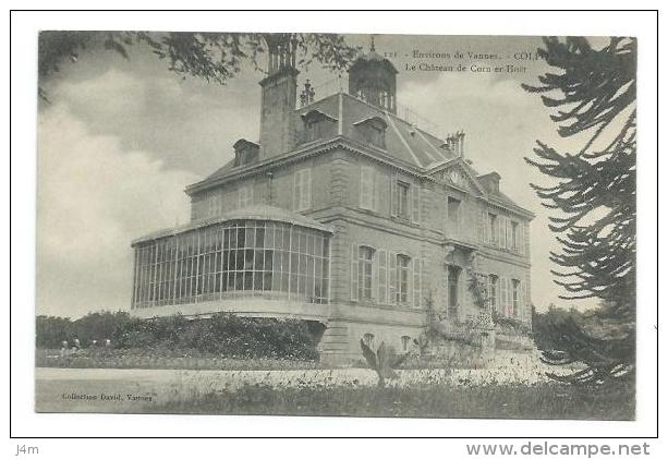 56/ MORBIHAN... Environs De Vannes. COLPO. Le Château De Corn Er Hoët - Autres & Non Classés