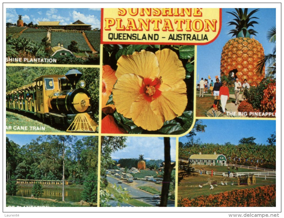 (PH 891) Australia - QLD - Sunshine Plantation - Sugar Cane Train - Big Pineapple - Sunshine Coast