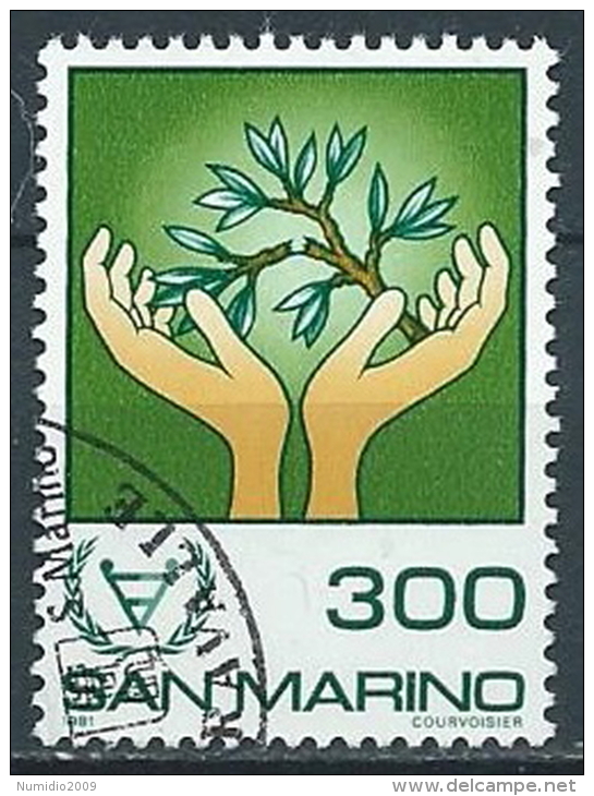 1981 SAN MARINO USATO DISABILI - VA24 - Usados