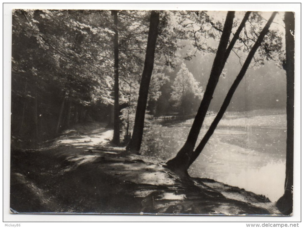 BELLEME--Etang De La Herse ,cpsm 15 X 10  Photo J.Sassier--carte Pas Très Courante - Autres & Non Classés