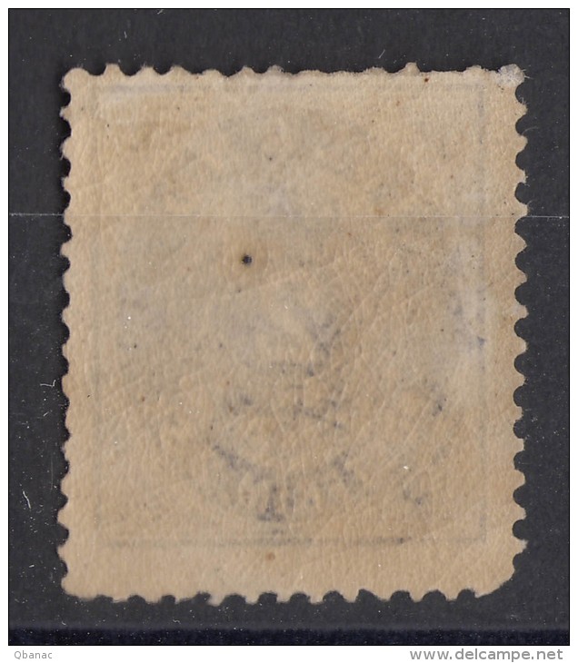 Iceland Island Ijsland 1873 Mi#1 Original Gum - Unused Stamps