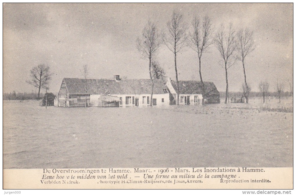 Hamme 1906, De Overstroomingen, Eene Hoeve Te Midden Van Het Veld, Climan-Ruijssers (05696) - Hamme