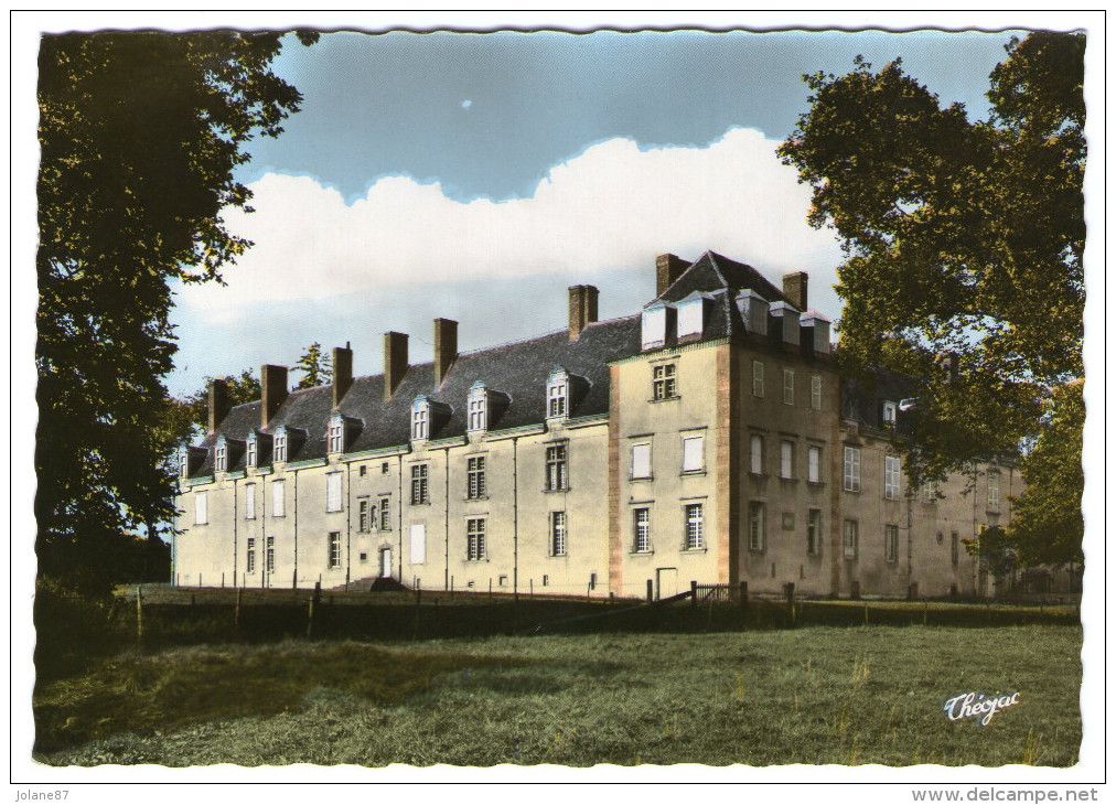 CPSM    87         MEZIERES SUR ISSOIRE 1975        CHATEAU DU FRAISSE - Meziere Sur Issoire