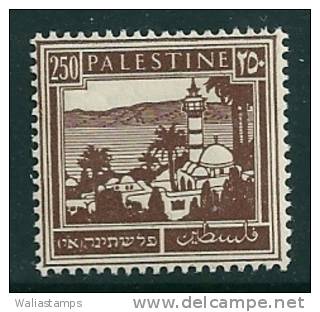 Palestine 1927 SG 109 MNH** - Palestine