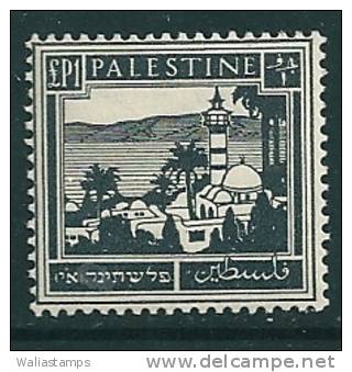 Palestine 1927 SG 111 MNH** - Palästina