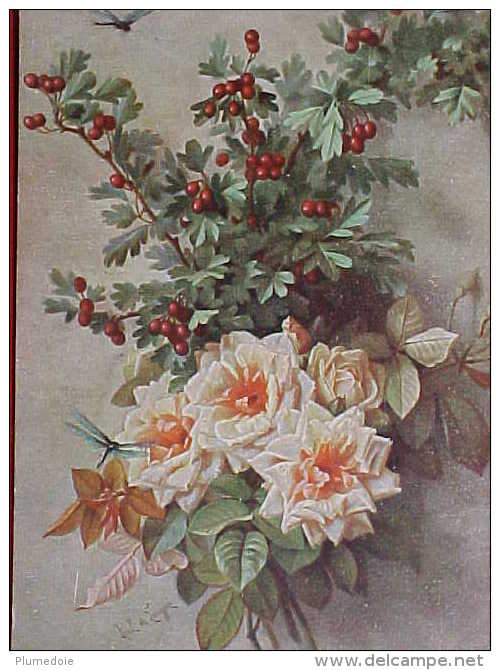 Cpa FLEURS Signée PAUL De LONGPRE , ROSES, BAIES , LIBELLULE, 1906 DRAGONFLY &  FLOWERS  A/s   Recto Verso Prix Fixe - Fleurs