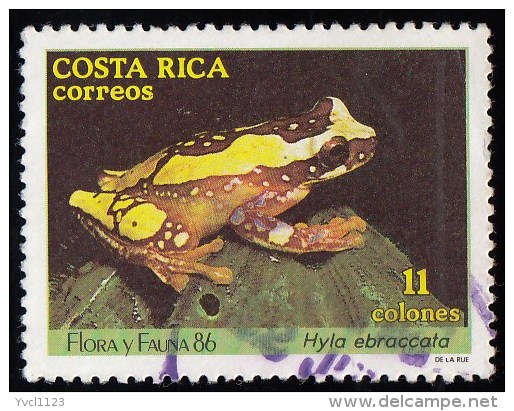 COSTA RICA - Scott #383 Hyla Ebraccata / Used Stamp - Costa Rica