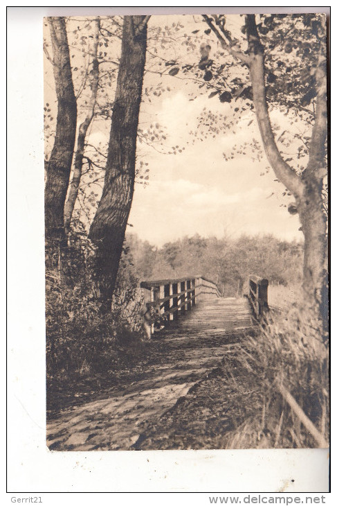 0-2383 PREROW/Darß, Brücke über Den Strom, 1962 - Seebad Prerow