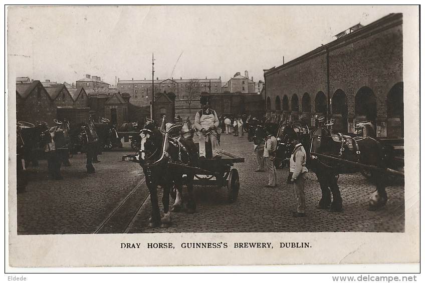 Dublin Dray Horse Guinness' S Brewery Beer  Brasserie Bière - Dublin