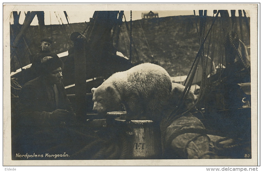 Norway Nordpolens Kongeson Polar Bear Tamed On A Boat  P. Used Nordkapp Cap Nord Polar 1930 - Norvège