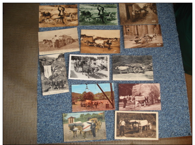 Lot De  32 Cartes Postales , Attelage De Boeufs..voir Details - 5 - 99 Karten