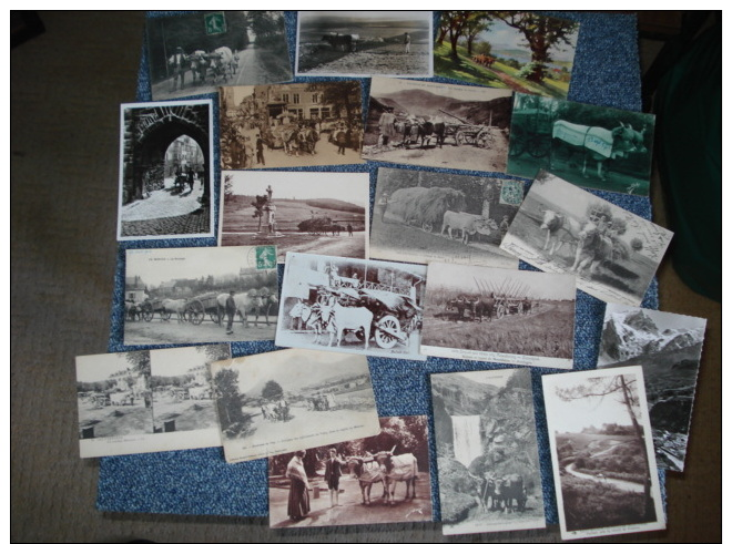 Lot De  32 Cartes Postales , Attelage De Boeufs..voir Details - 5 - 99 Cartes