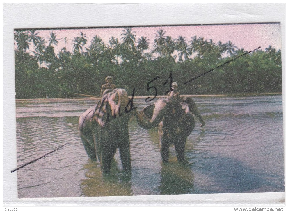 Le Bain Des Eléphants ,Kandy -Sri Lanka - Sri Lanka (Ceylon)