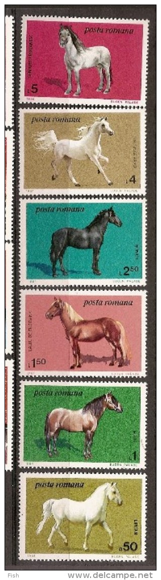 Romania  **  & Cavalos De Raça 1984 (3528) - Unused Stamps