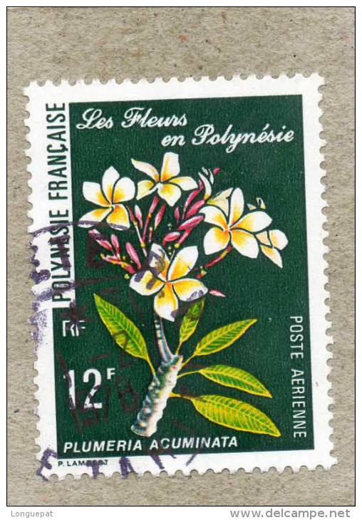 POLYNESIE Française - Flore - Fleurs : Plumeria Acuminata Ou Frangipanier - Fzmille Des Apocynacées - - Oblitérés