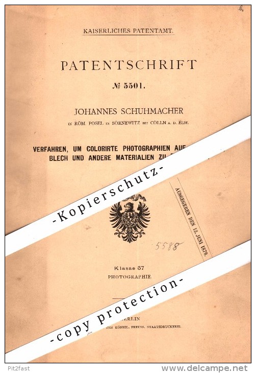 Original Patent - J. Schuhmacher In Röm. Posel In Sörnewitz B. Coswig A.d. Elbe , 1878 , Colorierte Photographie , Cölln - Coswig