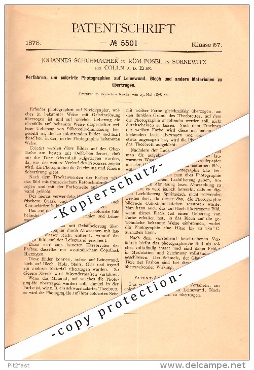 Original Patent - J. Schuhmacher In Röm. Posel In Sörnewitz B. Coswig A.d. Elbe , 1878 , Colorierte Photographie , Cölln - Coswig