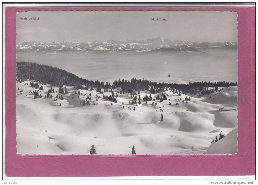 SOMMET DE LA DOLE ET VUE SUR LES ALPES DE LA SAVOIE - Autres & Non Classés