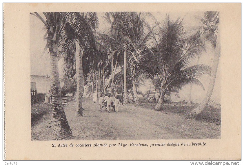 Afrique - Gabon - Libreville  - Allée De Cocotiers Monseigneur Bessieux - Missionnaires Religion - Gabon