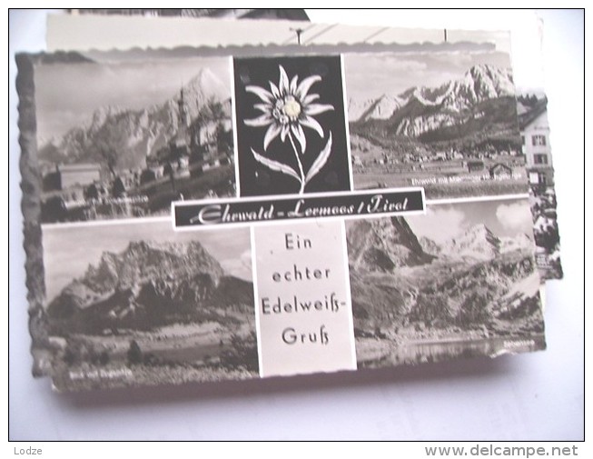 Oostenrijk Österreich Tirol Lermoos Ehrwald Edelweiss - Lermoos