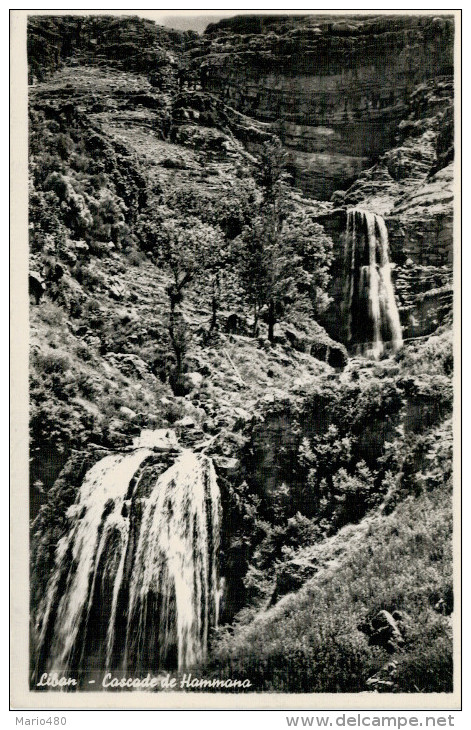 LEBANON   THE  WATERFALLS OF  HAMMANA        (NUOVA) - Libano