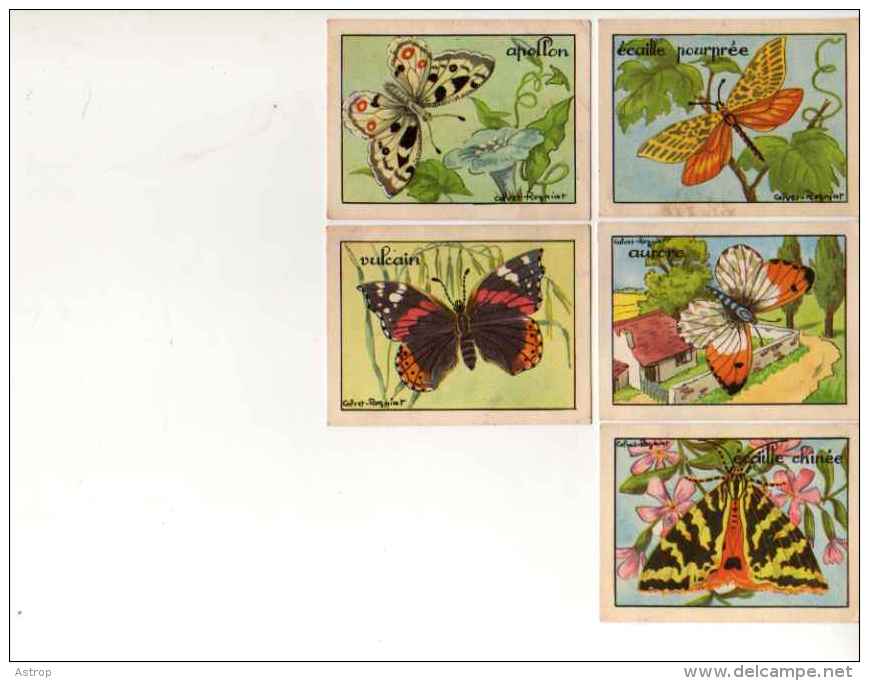 IMAGES BON POINT ECOLE Illustrateur CALVET ROGNIAT Lot De 14 (Papillons) - Other & Unclassified