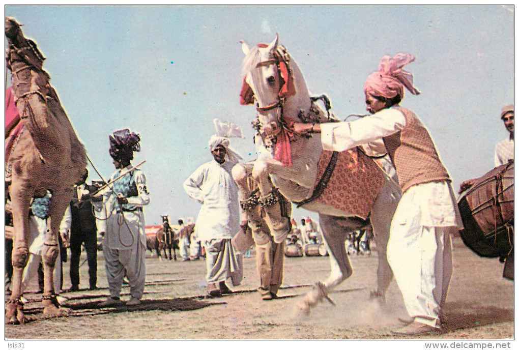 Pakistan - Animaux - Chevaux - Chameaux - Dancing Horese - Dancing Camel - Semi Moderne Grand Format - Pakistan