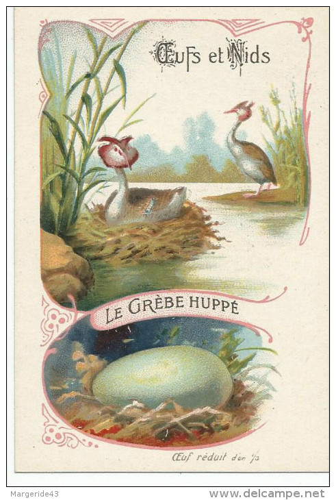 CHROMOS LES OISEAUX, LEURS OEUFS ET LEURS NIDS - LE GREBE HUPPE. - Autres & Non Classés