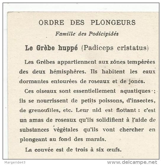 CHROMOS LES OISEAUX, LEURS OEUFS ET LEURS NIDS - LE GREBE HUPPE. - Autres & Non Classés