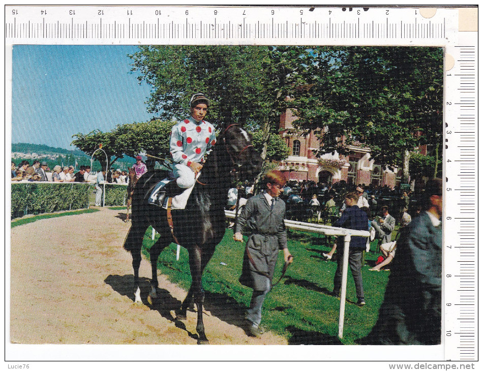 DEAUVILLE  -  Courses   -   Présentation  Des  Chevaux - Deauville