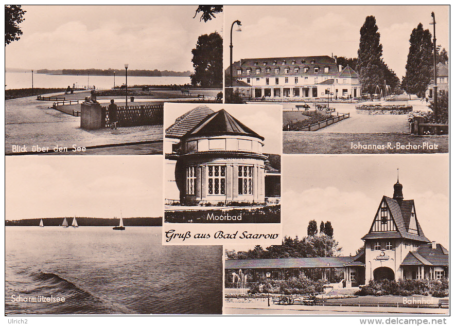 AK Bad Saarow - Mehrbildkarte - Ca. 1960 (17078) - Bad Saarow