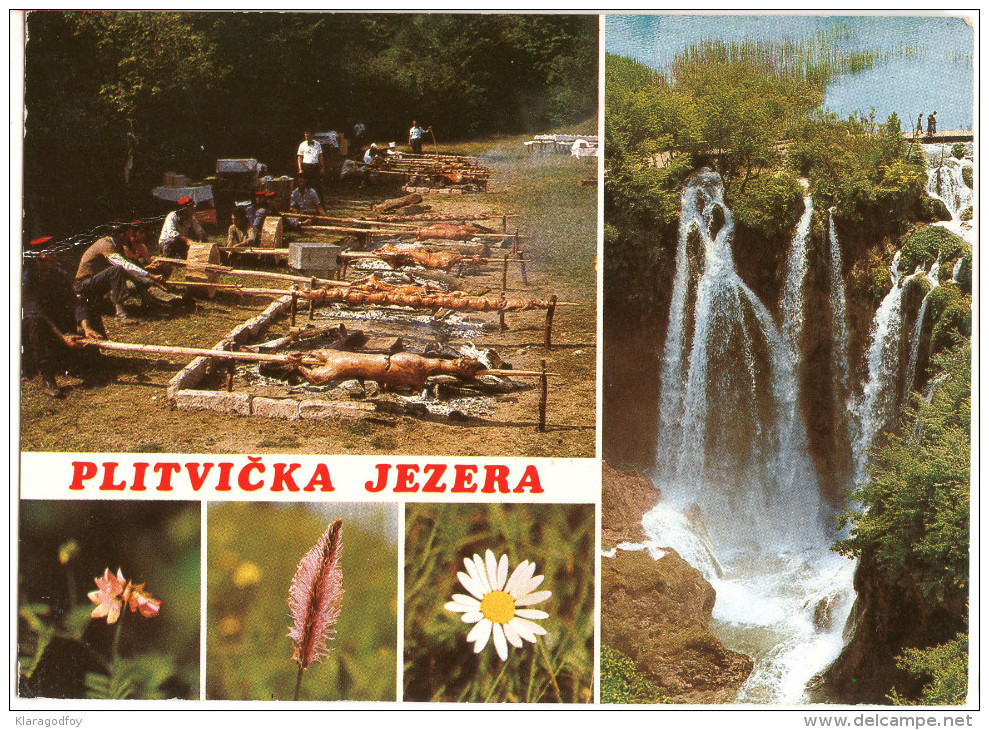 Plitvicka Jezera Postcard Travelled 1980 Bb - Kroatien
