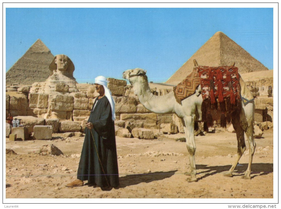 (PH 565) Posted From Egypt To Australia - RTS Or DLO Postcard - Pyramid And Camel + Handler - Pyramides