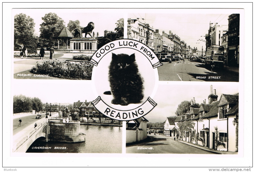RB 1047 - 1957 Real Photo Multiview Postcard - Black Cat - Reading Berkshire - Reading