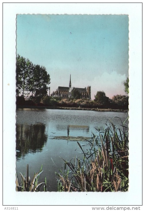 CPSM AMIENS L'Etang De St-Pierre Et La Cathédrale - Amiens