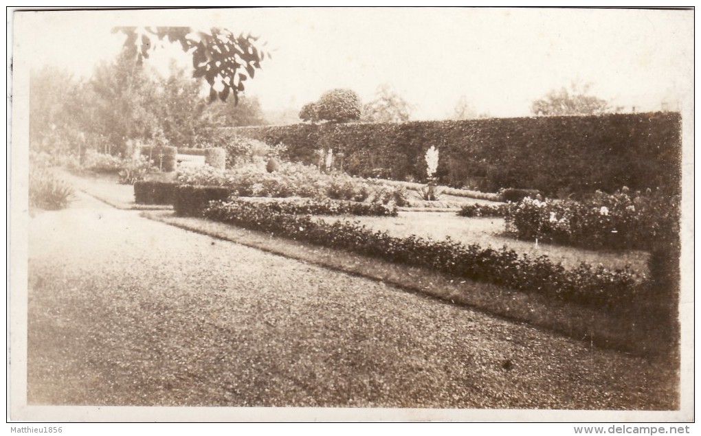 Foto 1919 HEDDESDORF (Neuwied) - Eine Garten (A112, Ww1, Wk 1) - Neuwied