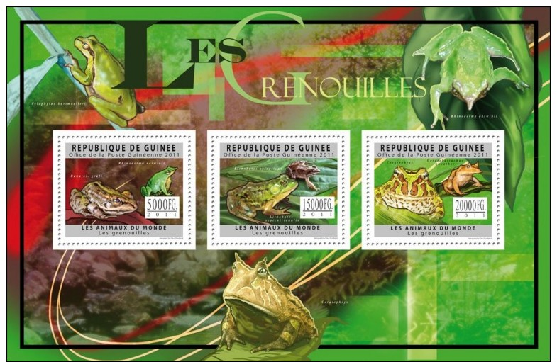 GU11613a GUINEA (Guinee) 2011 Frogs MNH Mini Sheet - Guinée (1958-...)