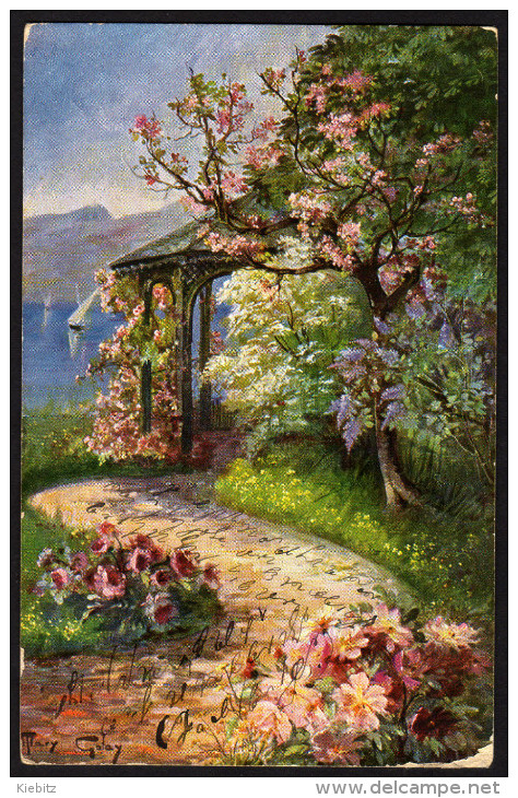 Kirschen Baum - Gelaufen 1909 - Arbres
