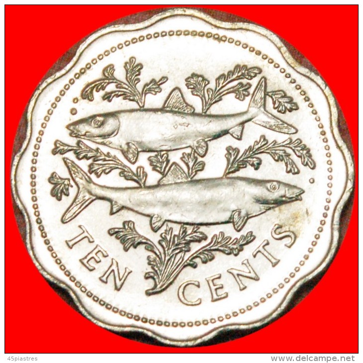 * FISH (1974-2005): THE BAHAMAS  10 CENTS 2000! ELIZABETH II (1953-2022)! LOW START   NO RESERVE! - Bahamas