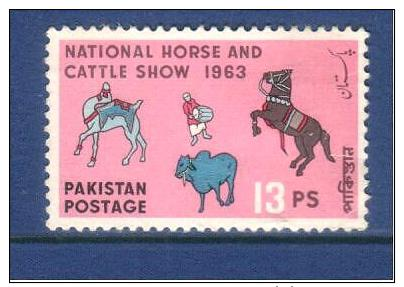 Pakistan 1963  Horse And Cattle Show  13p - Pakistan